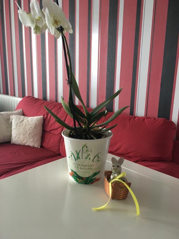 클루지나포카 Dora City Apartament 아파트 외부 사진